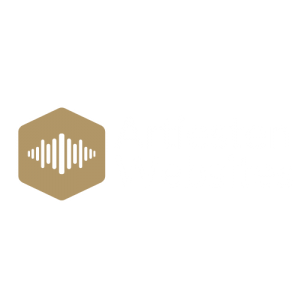 artiesten websites website laten maken voor muziekband webdesigner webdesign website voor zanger zangeres