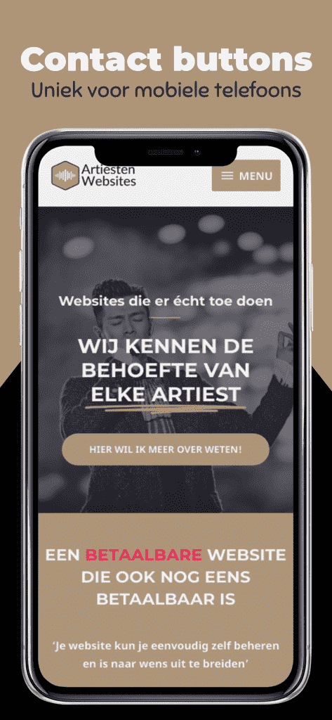 artiesten websites website laten maken voor muziekband webdesigner webdesign website voor zanger zangeres